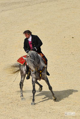Mario Luraschi montant un cheval durant le spectacle équestre
